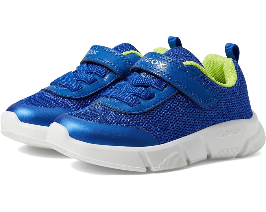 

Кроссовки Geox Aril 8, цвет Royal