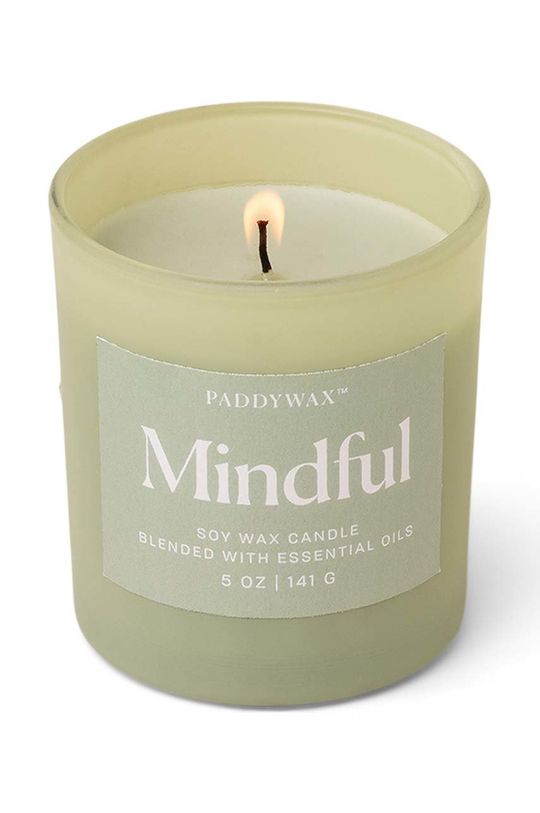 Свечи ароматические соевые Mindful 141 г Paddywax, мультиколор