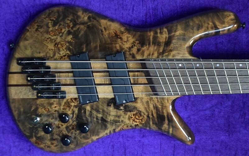 

Басс гитара Spector NS Dimension 5, Faded Black Gloss w/ Wenge