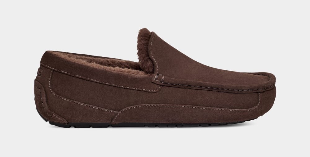 

Домашние тапочки Ascot Slipper UGG, коричневый