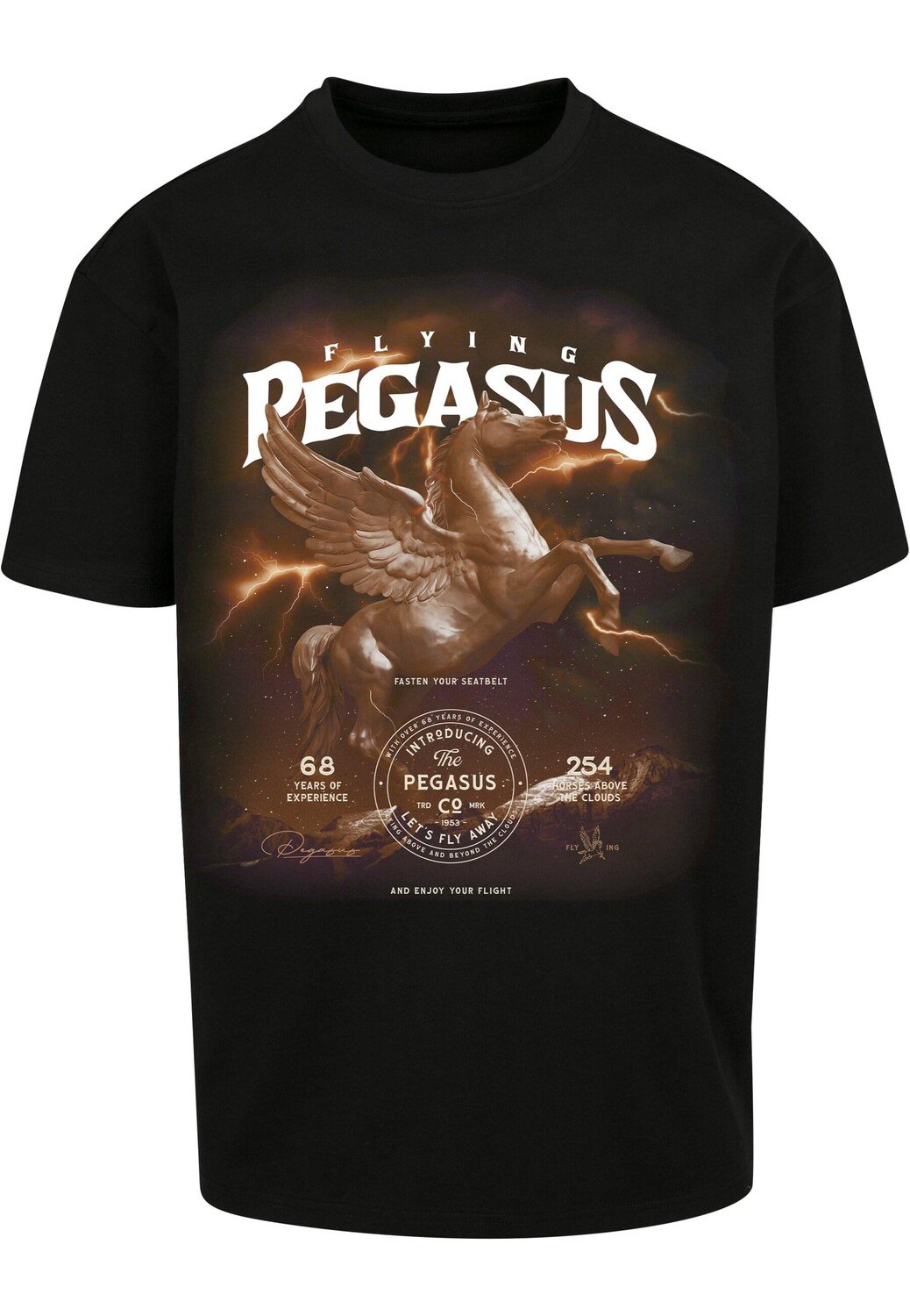 

Футболка Mister Tee s, черный