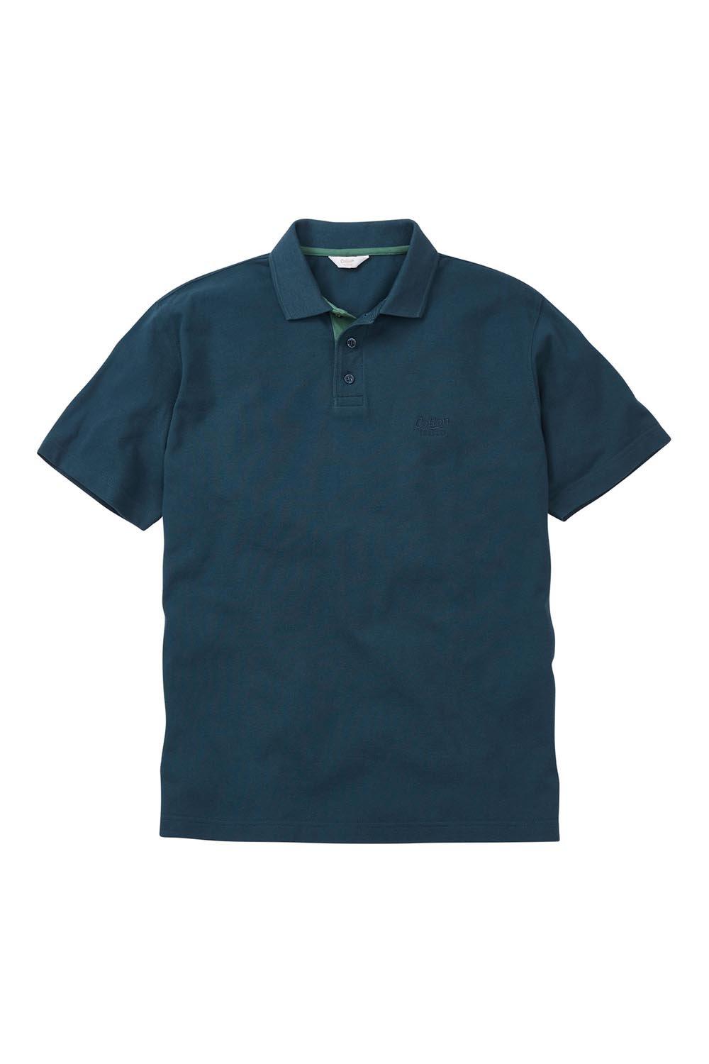 Рубашка поло с коротким рукавом Cotton Traders, зеленый цена и фото