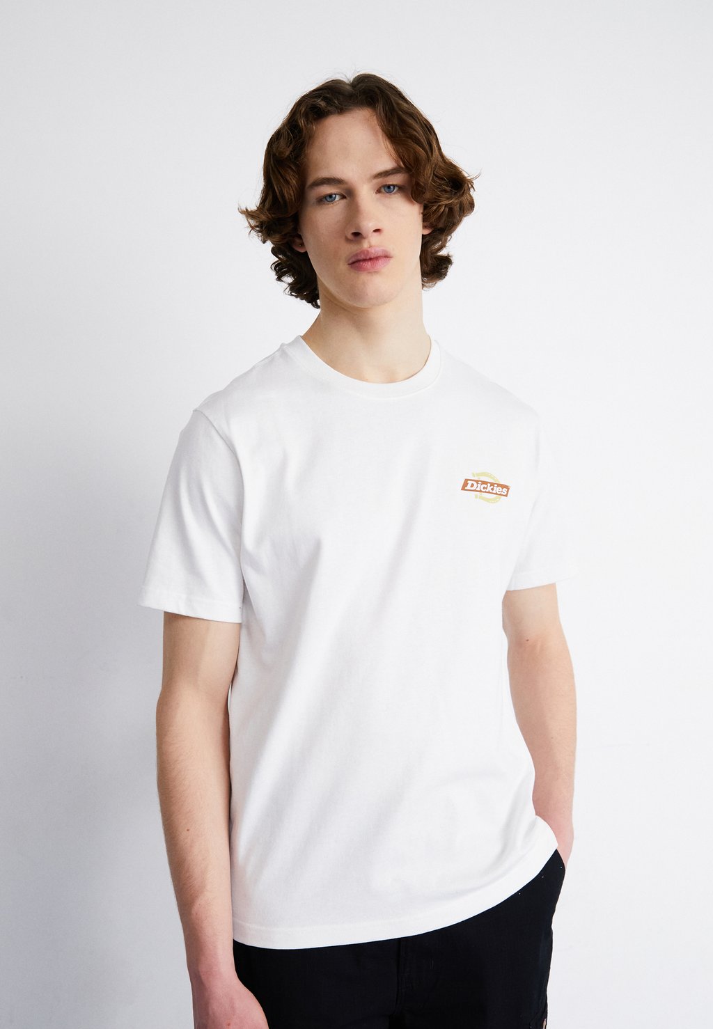 

Футболка с принтом Ruston Tee Dickies, цвет white/pale green