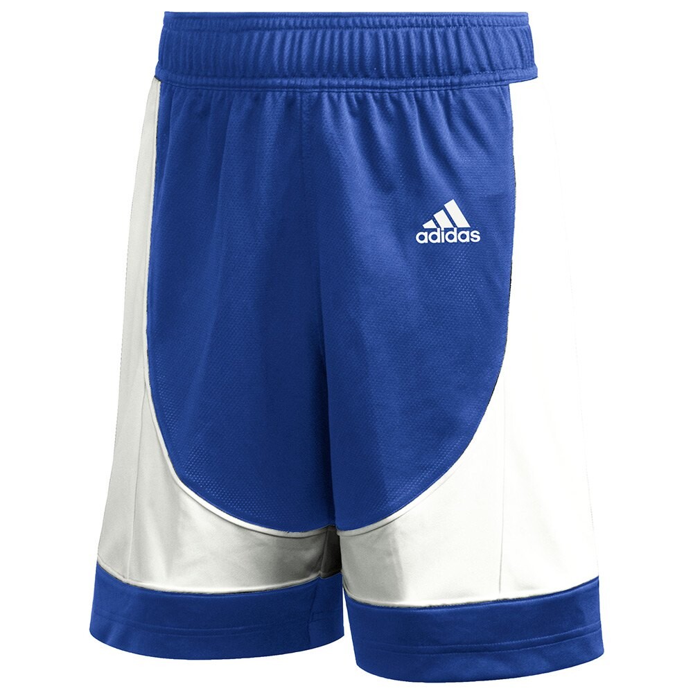

Шорты adidas NXT Prm, синий
