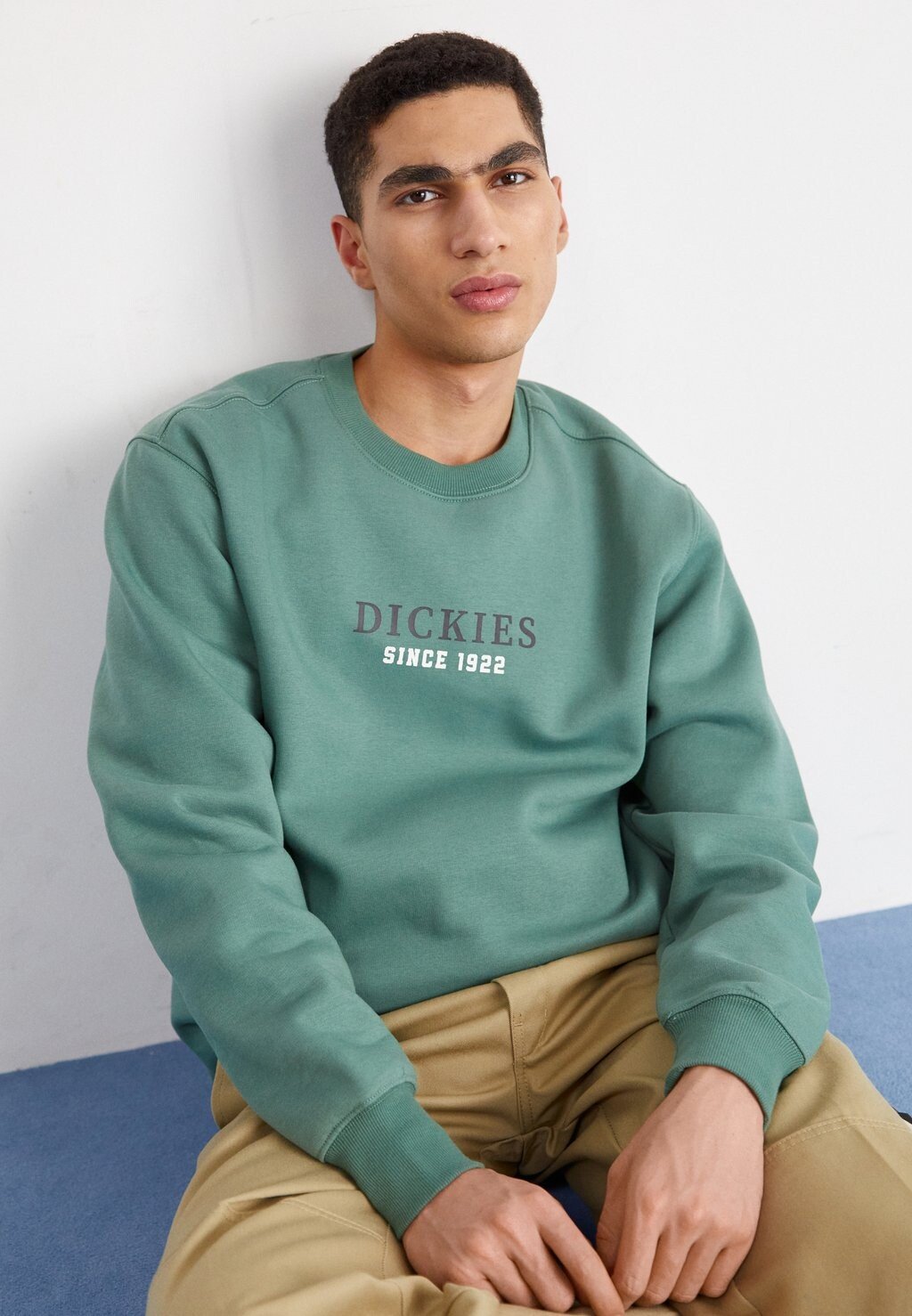 

Толстовка Park Dickies, цвет dark forest