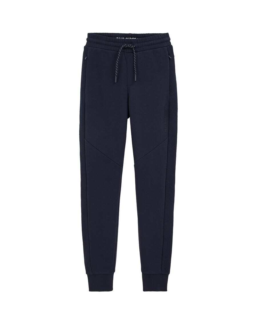

Брюки WE Fashion Tapered Pants, темно-синий
