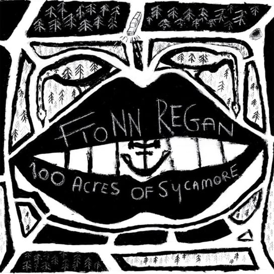 Виниловая пластинка Regan Fionn - 100 Acres Of Sycamore