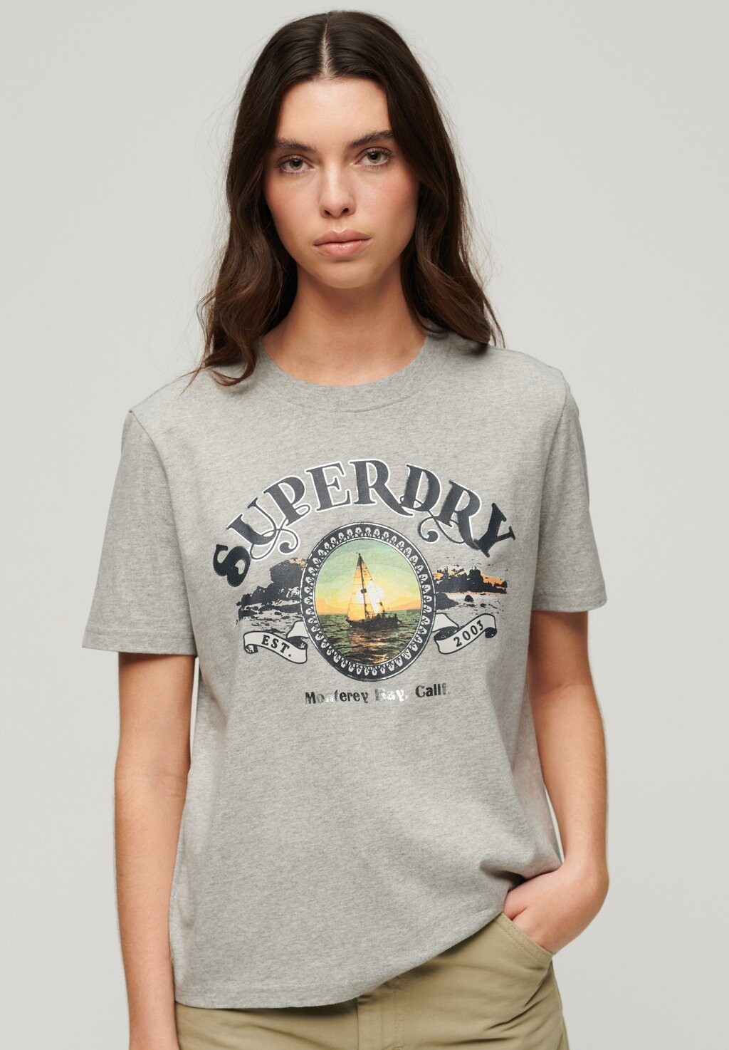 

Футболка с принтом TRAVEL SOUVENIR Superdry, камень