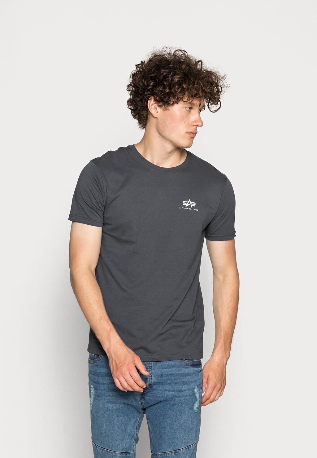 

футболка с принтом Small Logo Alpha Industries, цвет grey