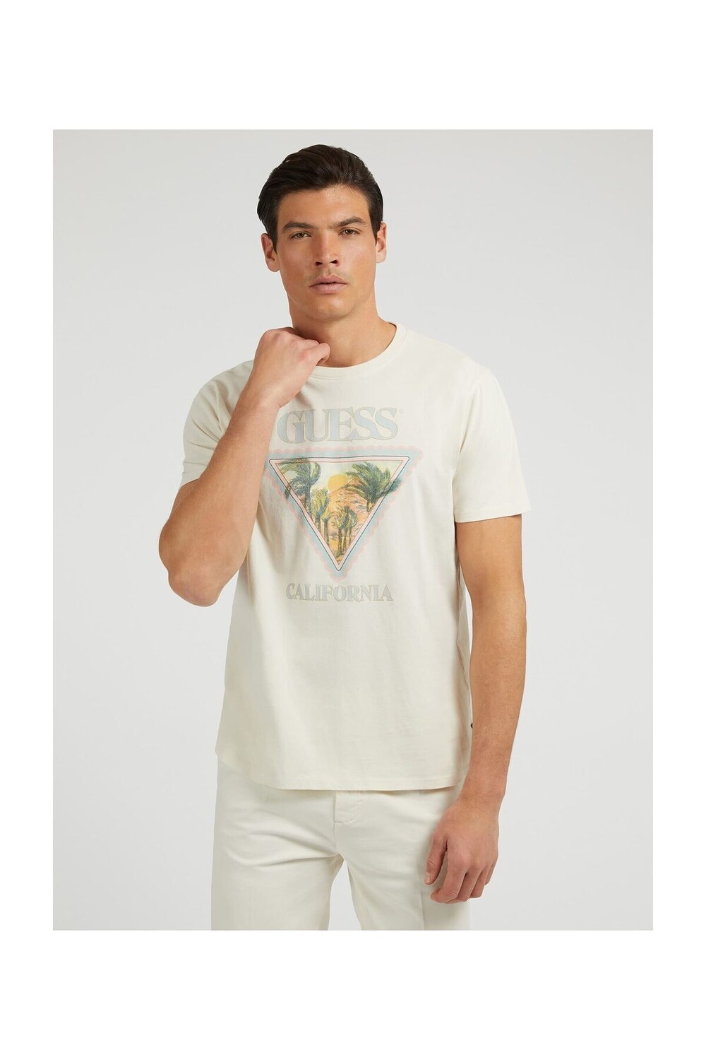 

МУЖСКАЯ ФУТБОЛКА СТАНДАРТНОГО КРОЯ SS BS Guess, белый