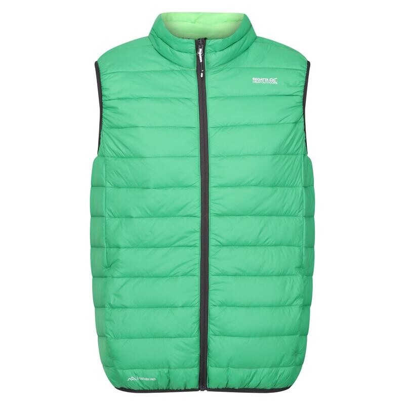 

Мужской горный жилет Regatta, цвет dark green/green