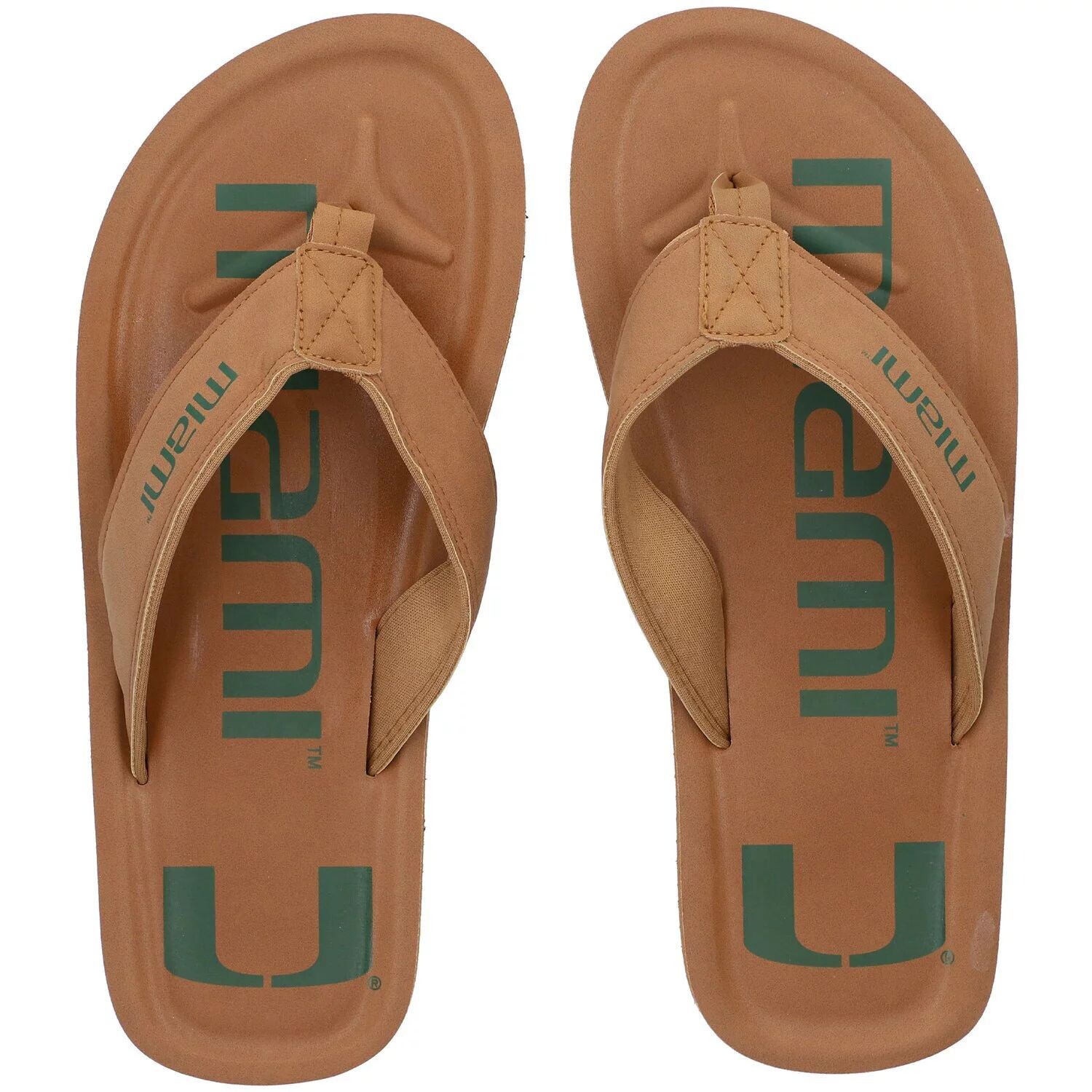 

Мужские шлепанцы FOCO Miami Hurricanes Color Pop
