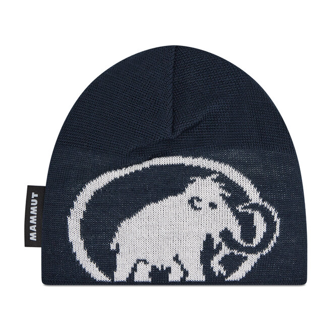 

Шапка Mammut TweakBeanie, темно-синий