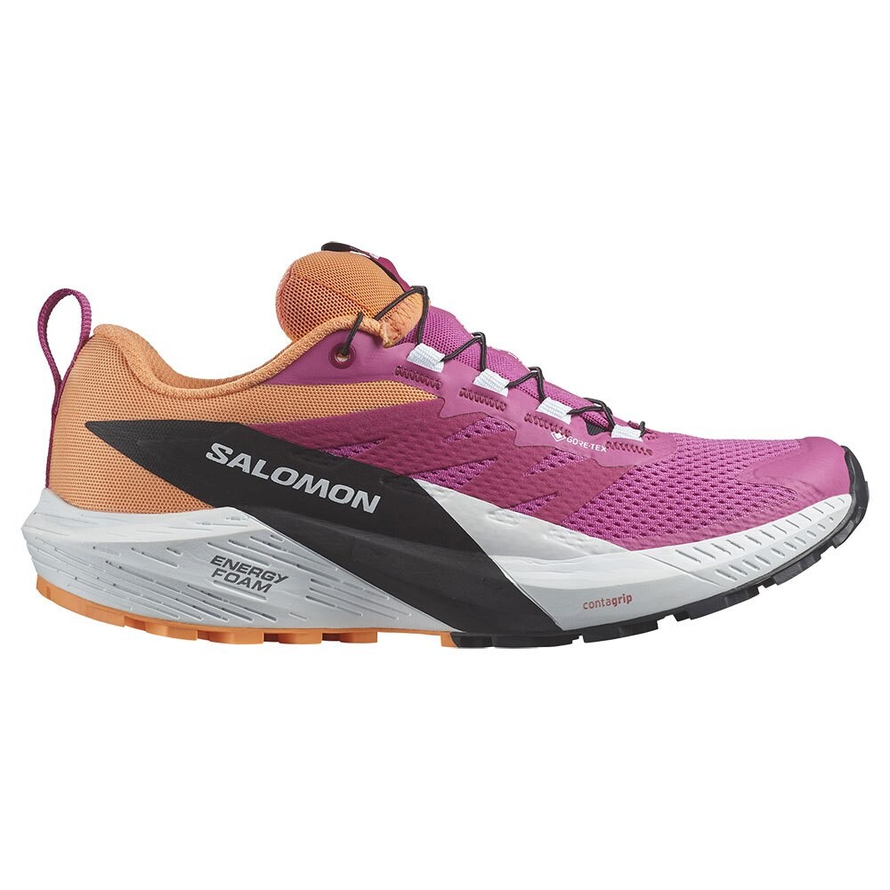 

Беговые кроссовки Salomon Sense Ride 5 Goretex Trail, разноцветный