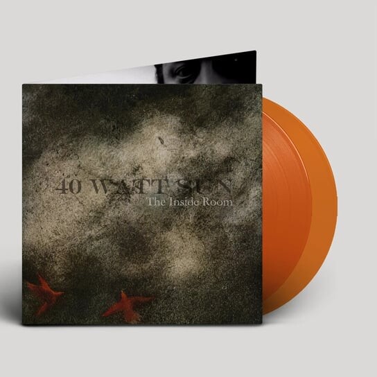 

Виниловая пластинка 40 Watt Sun - The Inside Room