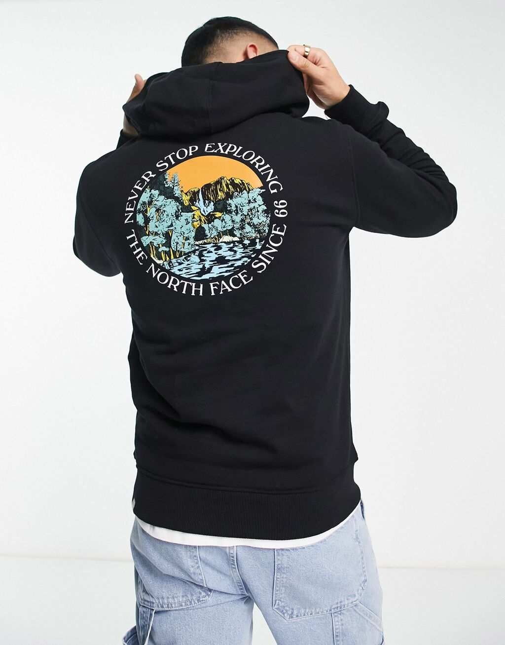 

Черная худи с принтом на спине The North Face Seasonal, Черный
