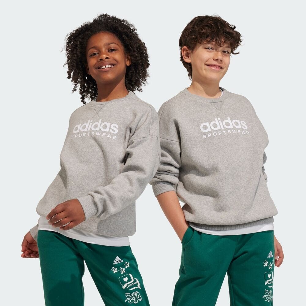 

Толстовка Adidas IL4931, серый