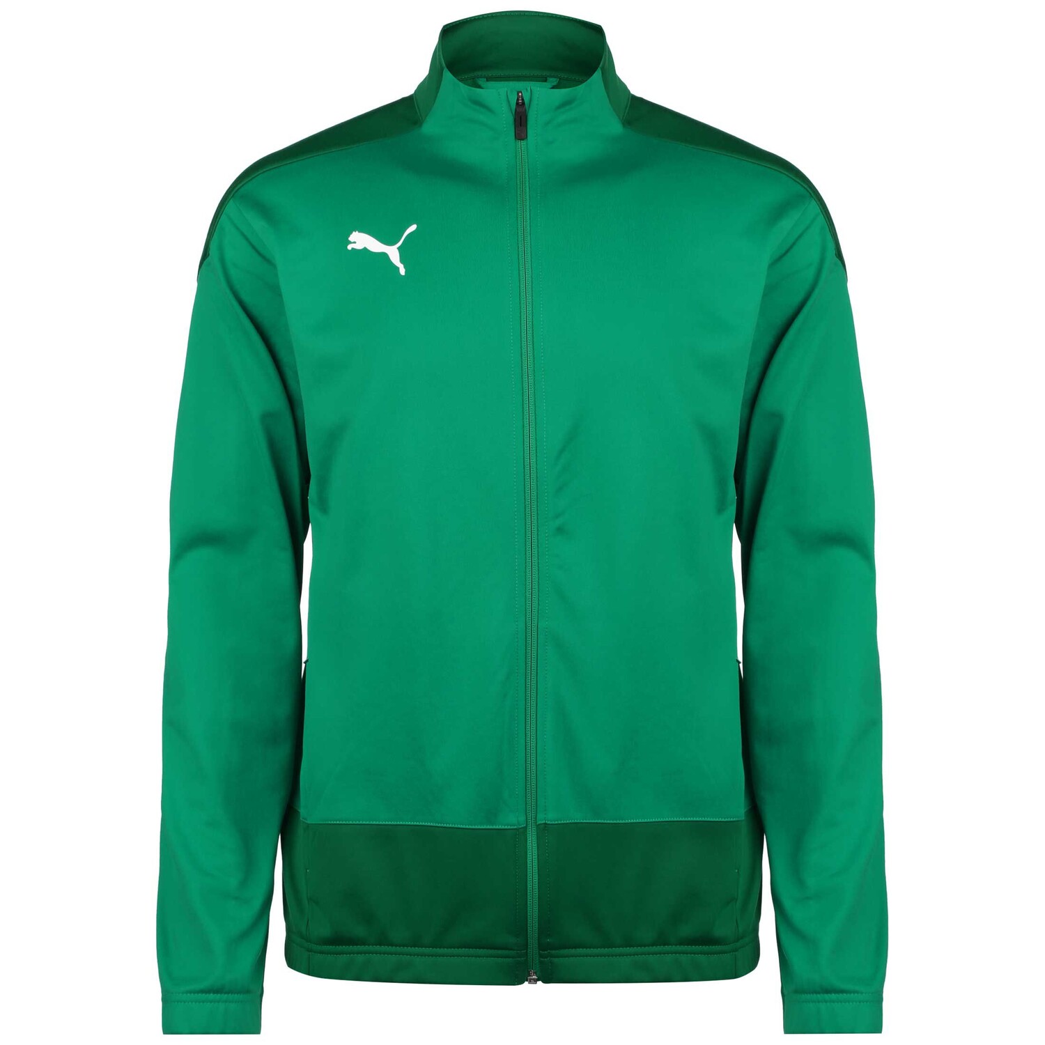 

Толстовка Puma Trainingsjacke TeamGOAL 23, цвет dunkelgrün/grün