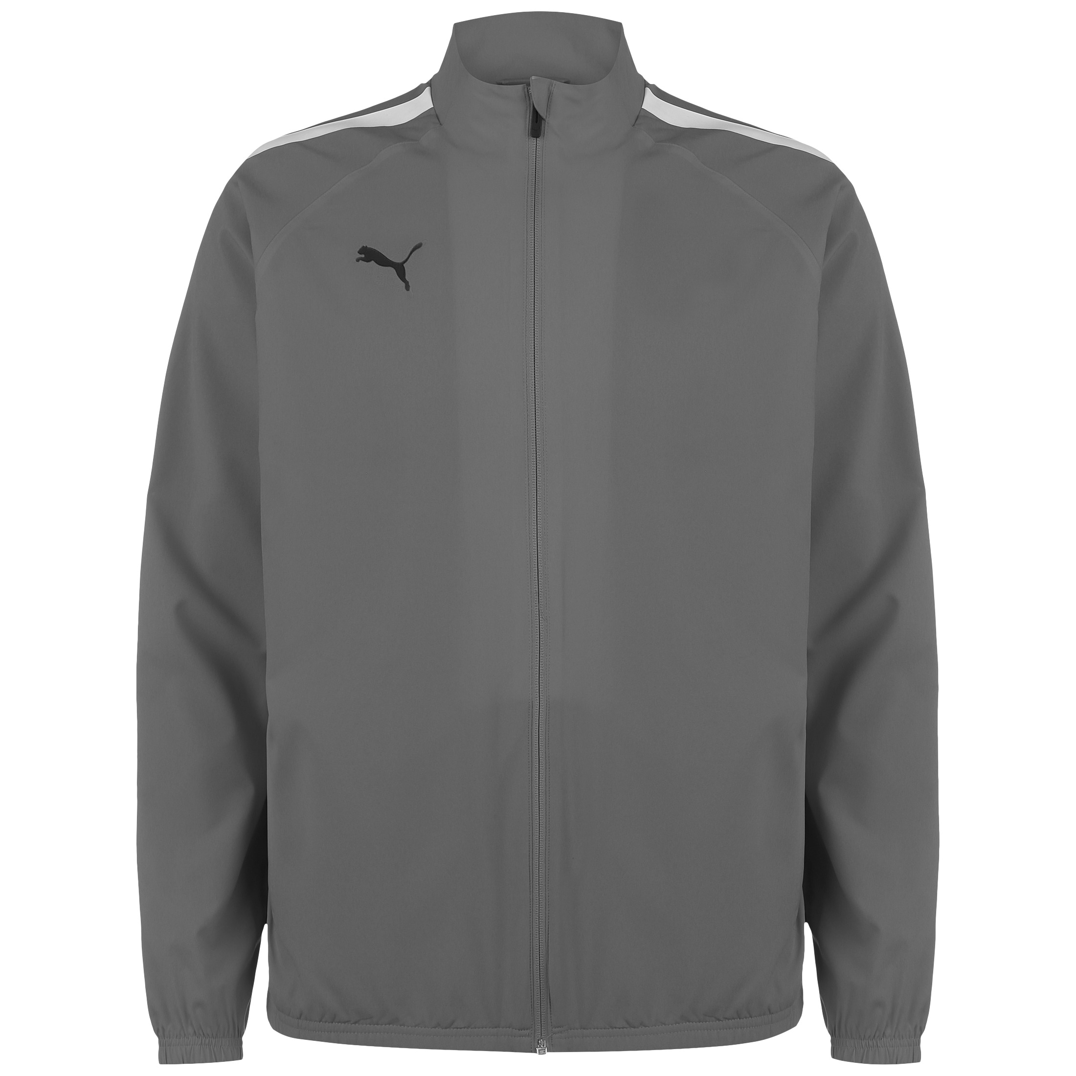 

Спортивная куртка Puma Funktionsjacke TeamLIGA Sideline, цвет grau/weiß