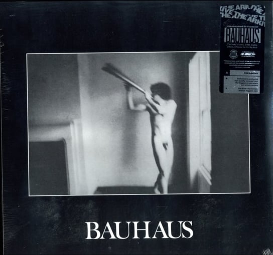 виниловая пластинка bauhaus in the flat field colour Виниловая пластинка Bauhaus - In The Flat Field