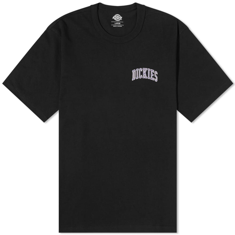 

Футболка с логотипом Dickies Aitkin на груди, черный