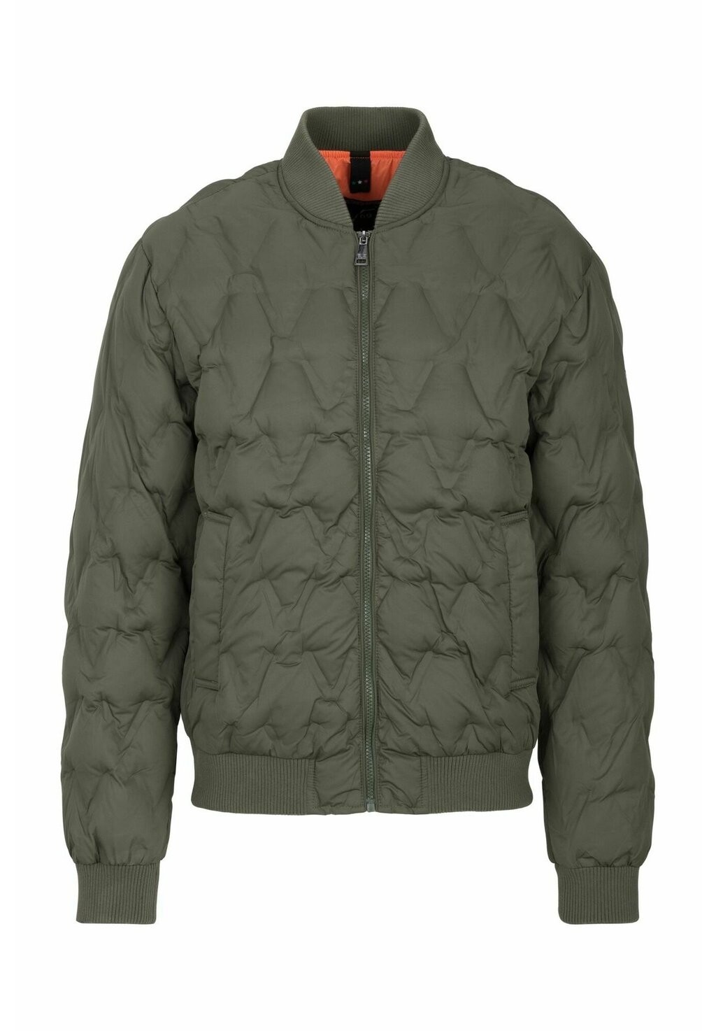 

Зимняя куртка BY VERSACE SPORTIVO SRL JONNY 19V69 Italia, зеленый