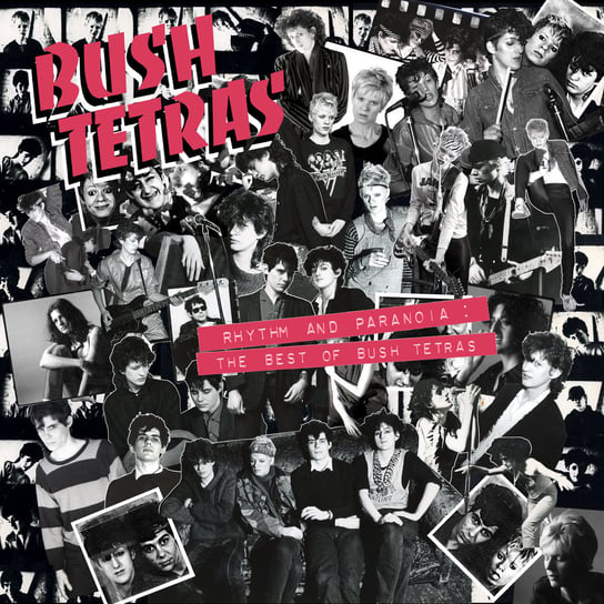 

Виниловая пластинка Bush Tetras - Rhythm And Paranoia: The Best Of Bush Tetras