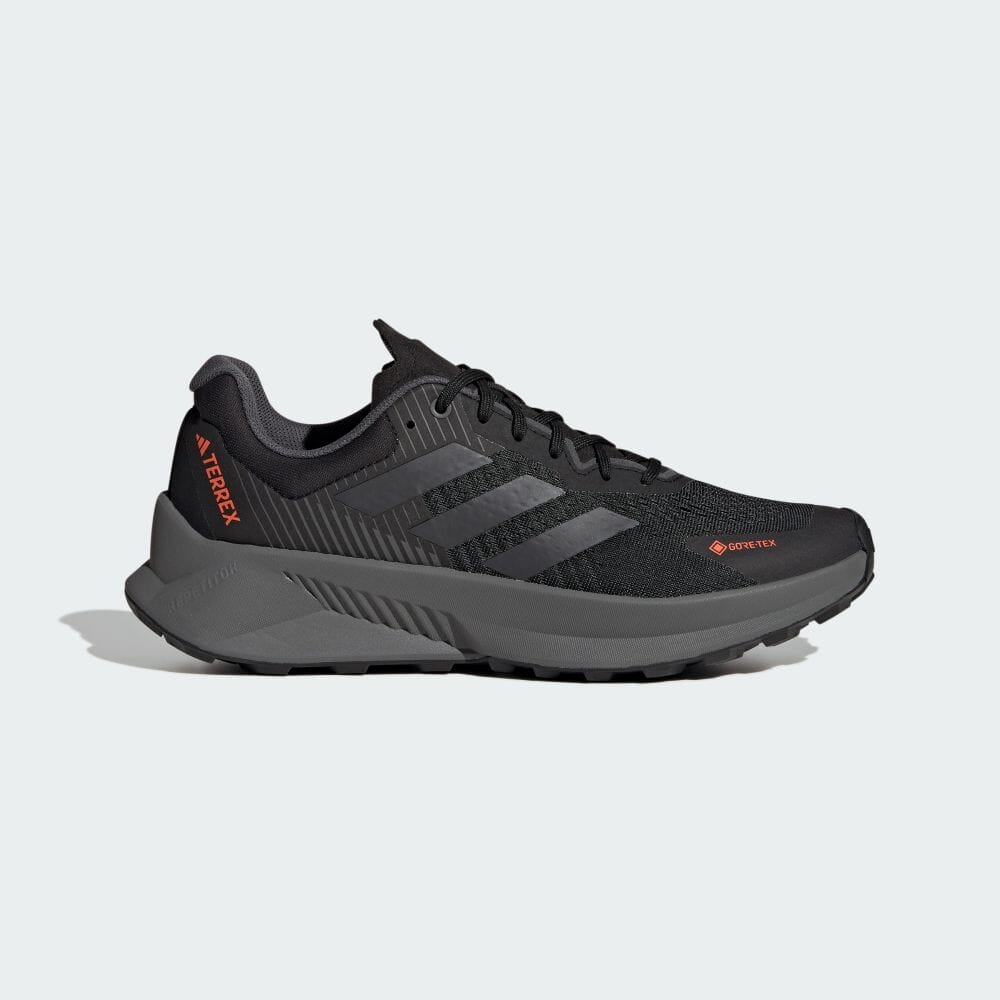 

Кроссовки Adidas TERREX SOULSTRIDE FLOW GTX