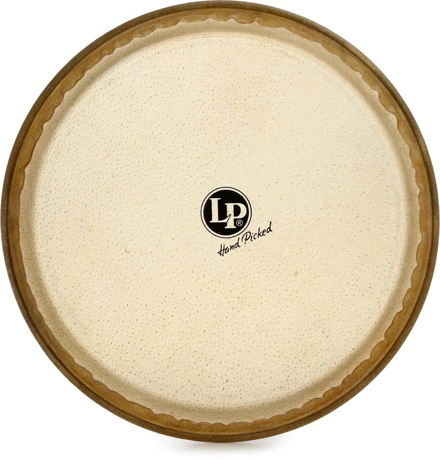 

Головка Latin Percussion Conga из сыромятной кожи — 11 дюймов — Quinto