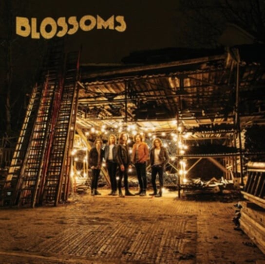

Виниловая пластинка Blossoms - Blossoms