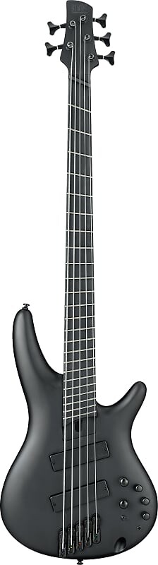 

Басс гитара Ibanez Iron Label SRMS625EX - Black Flat