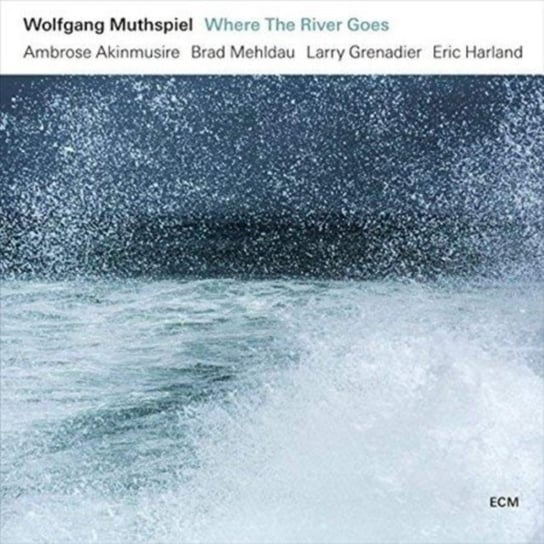 Виниловая пластинка Mutshpiel Wolfgang - Where The River Goes