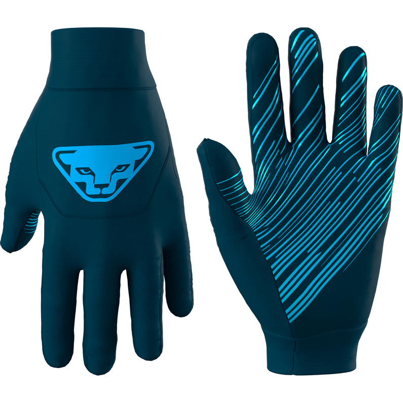 цена Переработанные скоростные перчатки Dynafit, синий