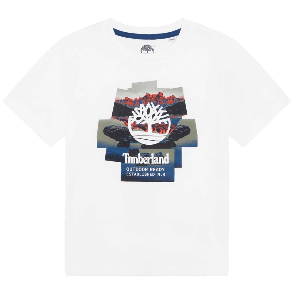 

Футболка Timberland T25T92, белый