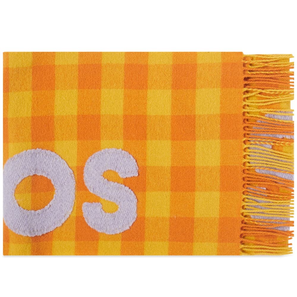 

Шарф в клетку с логотипом Acne Studios Veda