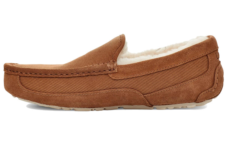 

Мужская обувь Ugg Ascot Lifestyle