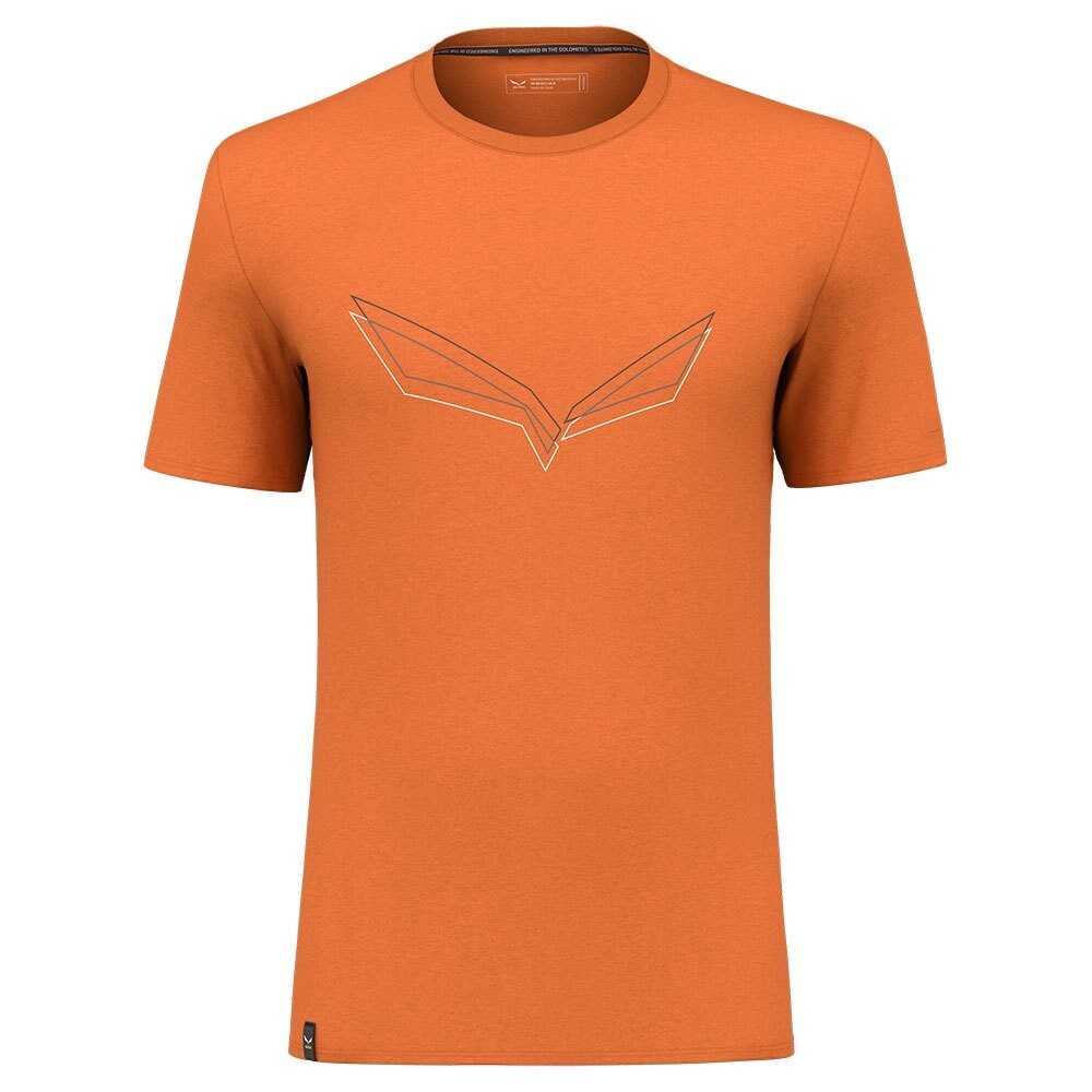 

Футболка Salewa Pure Eagle Frame Dry, оранжевый