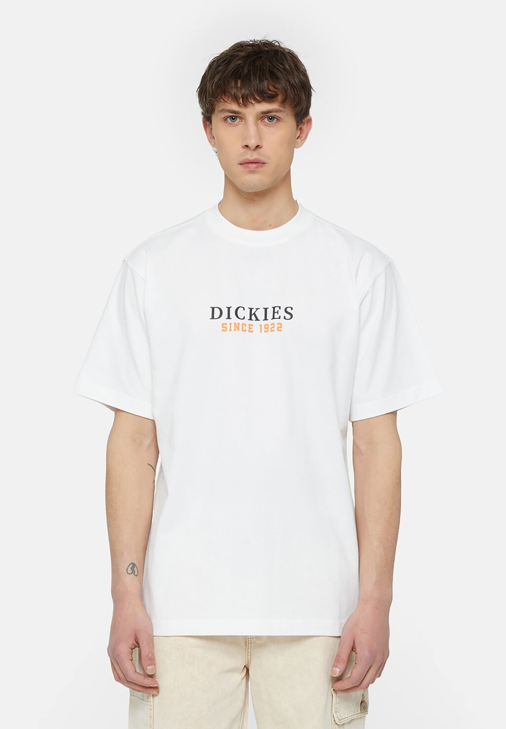 

Футболка с принтом Park Tee Dickies, цвет wht pale green