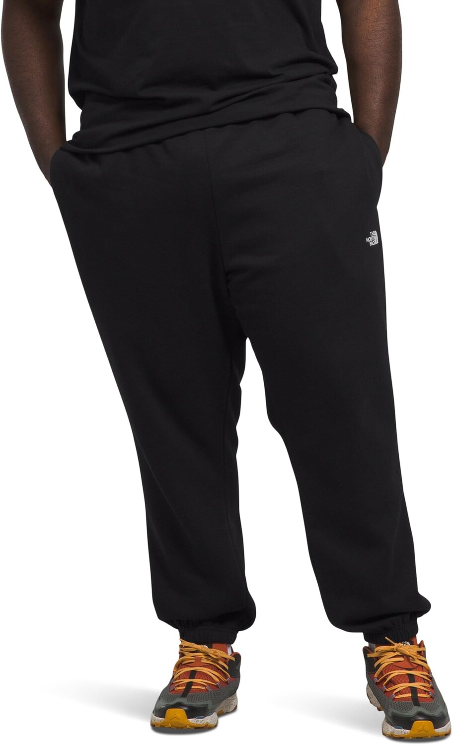 

Брюки Big & Tall Half Dome Sweatpants The North Face, цвет TNF Black/TNF White
