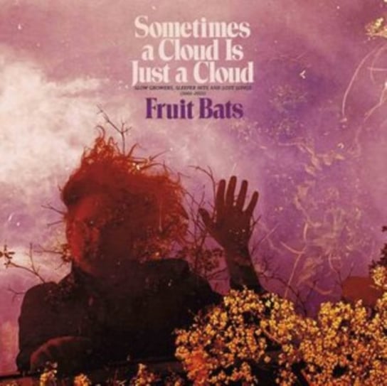 Виниловая пластинка Fruit Bats - Sometimes a Cloud Is Just a Cloud