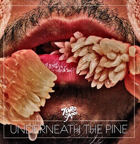 

Виниловая пластинка Toro y Moi: Underneath the Pine