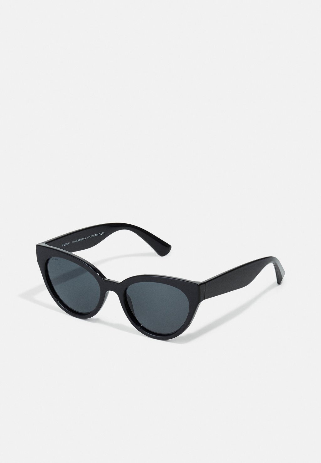 

Солнцезащитные очки RAISA RECYCLED SUNGLASSES Pilgrim, цвет black