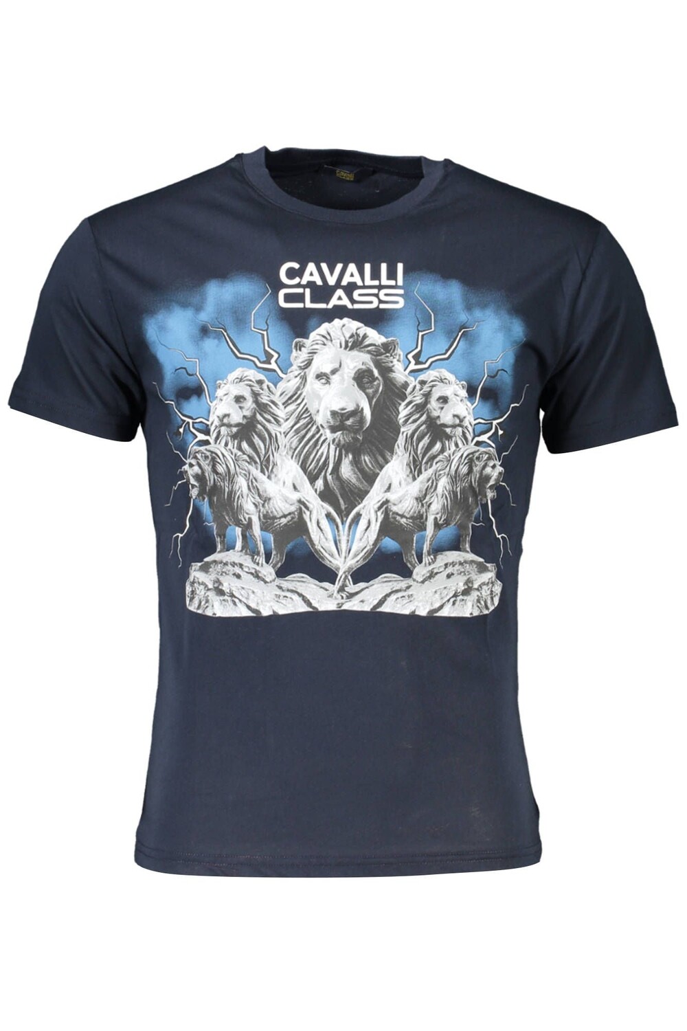

Мужская элегантная футболка с круглым вырезом и принтом логотипа Cavalli Class, синий