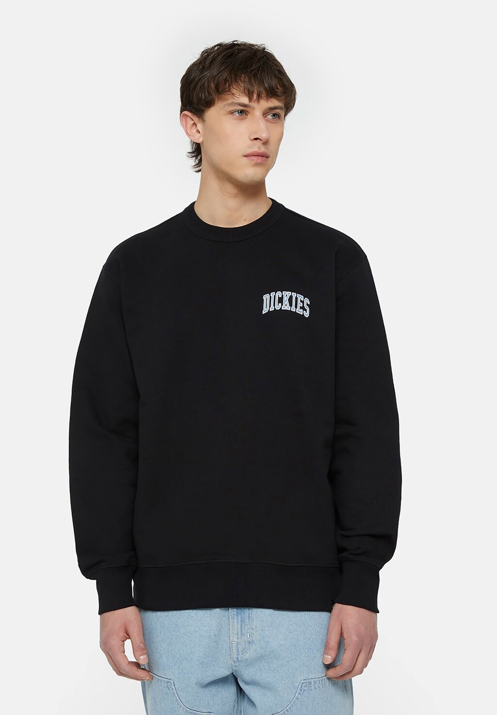 

Толстовка AITKIN CHEST Dickies, цвет blk coronet ble
