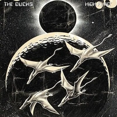 

Виниловая пластинка The Ducks - High Flyin