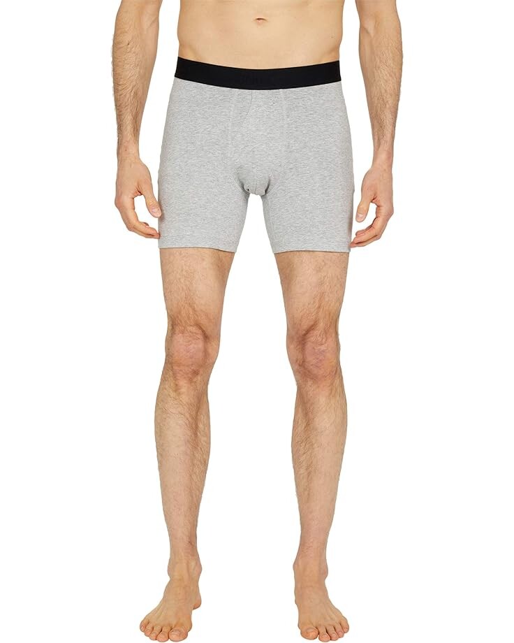 

Боксеры Stance Standard 6" Brief, серый