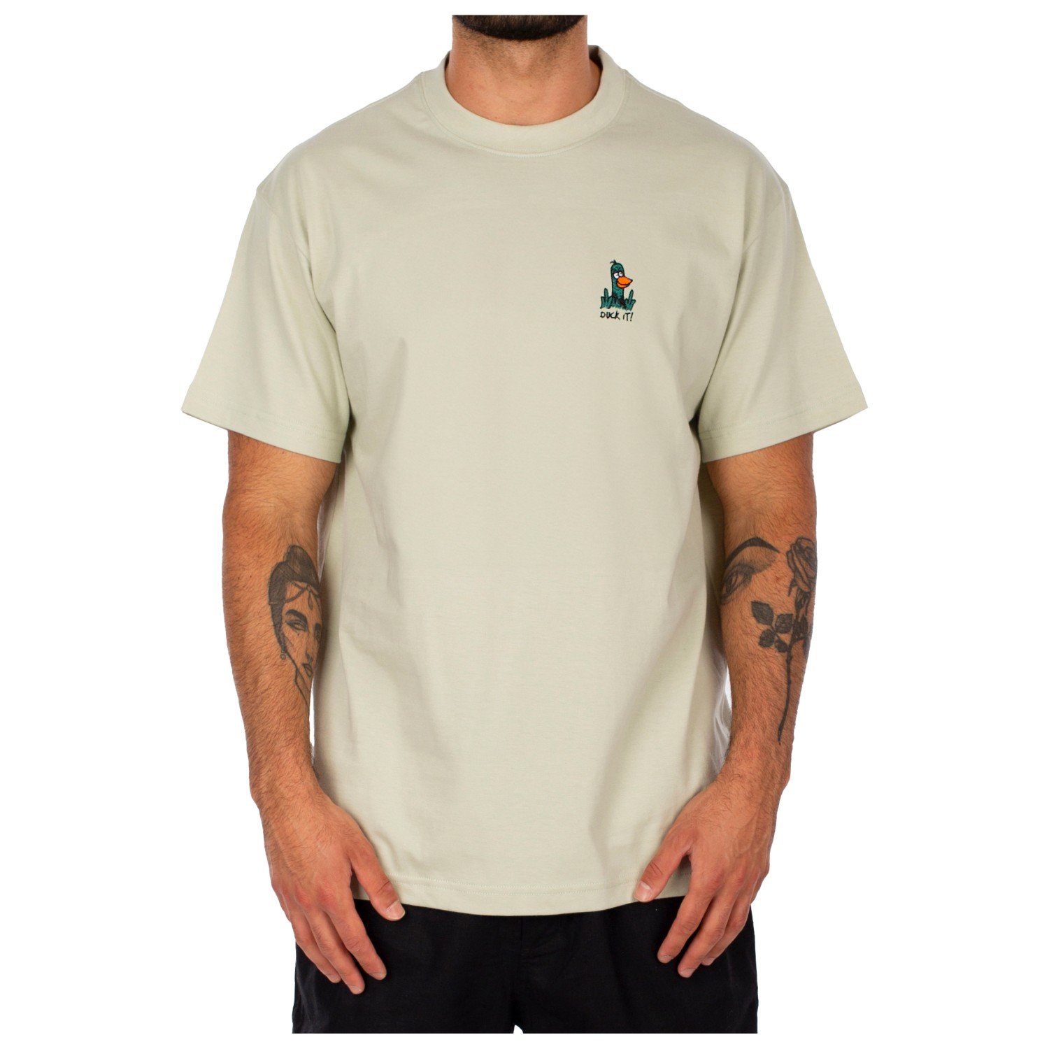 Футболка Iriedaily What The Duck Tee, цвет Light Sage