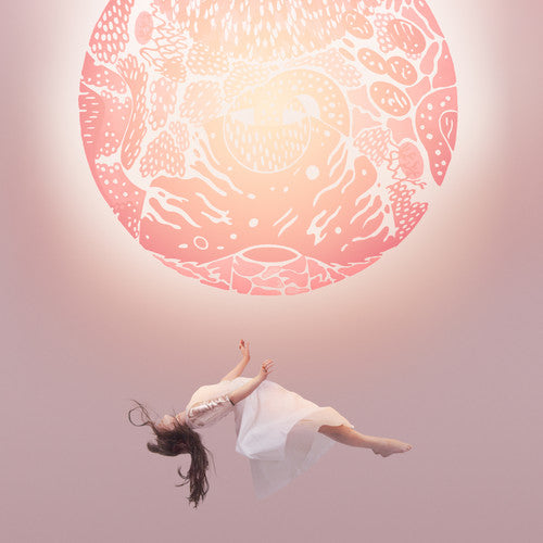 

Виниловая пластинка Purity Ring - Another Eternity