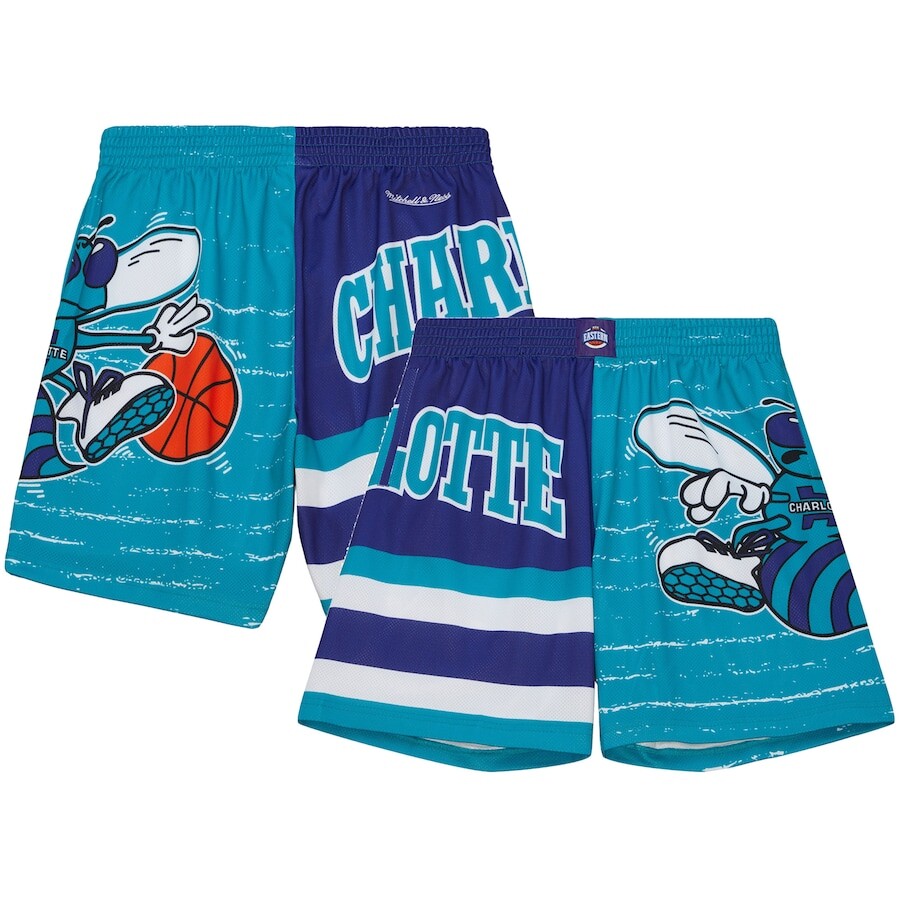 

Шорты Mitchell & Ness Charlotte Hornets, бирюзовый