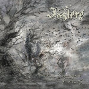 

Виниловая пластинка Austere - Corrosion of Hearts